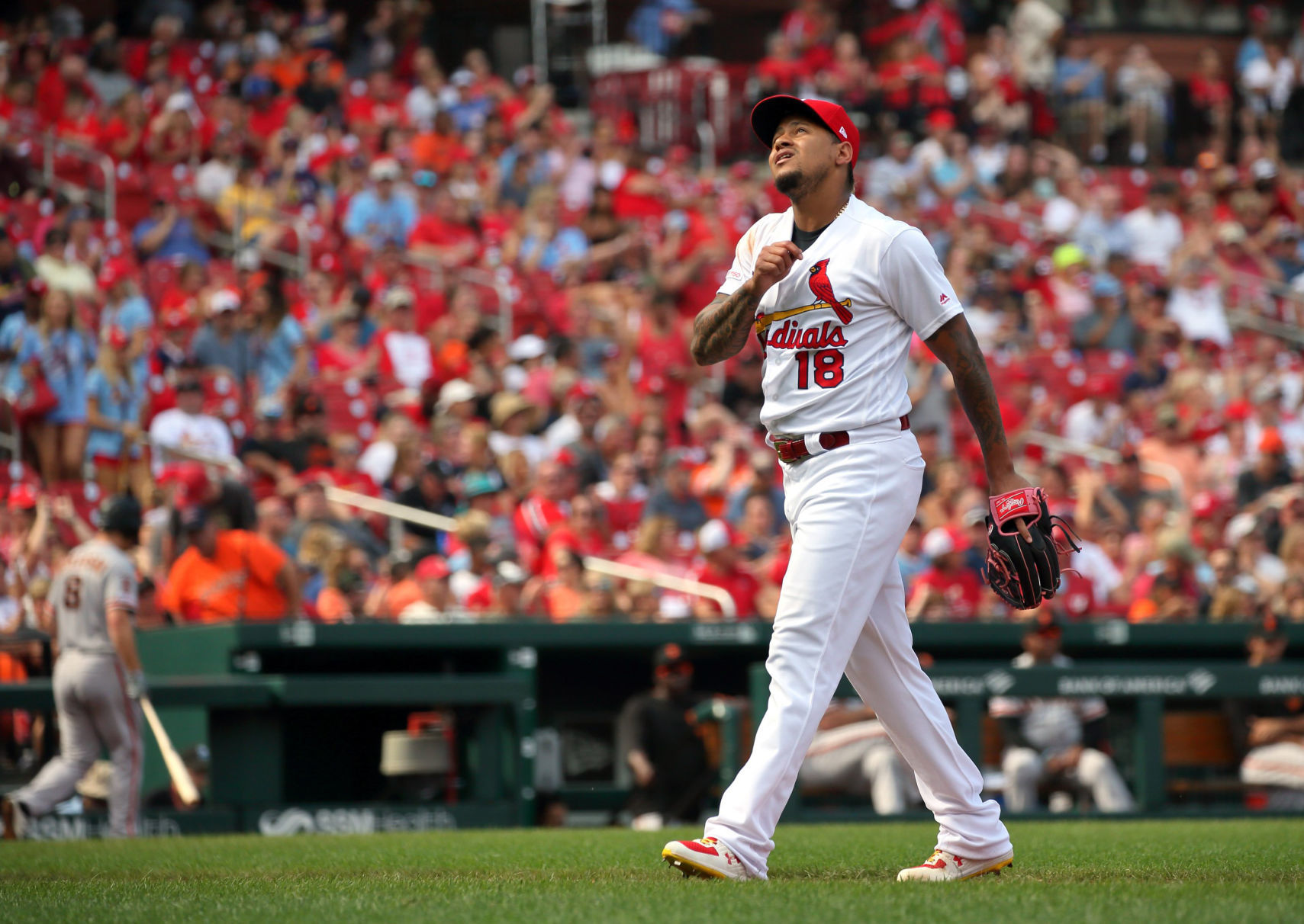 San Francisco Giants vs St. Louis Cardinals